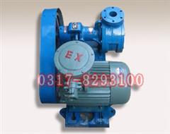 山東NCB不銹鋼高粘度轉子泵