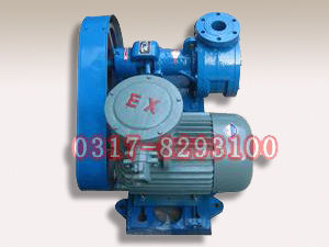 山東NCB不銹鋼高粘度轉(zhuǎn)子泵