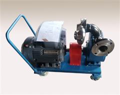 山東YPB移動式滑片泵